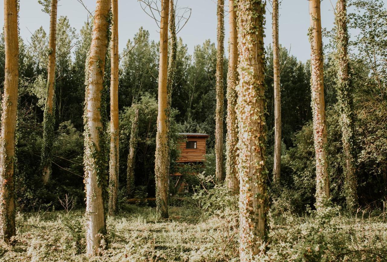 Bonita Cabana De Los Arboles En La Rioja , Durmiendo Entre Arboles Anguciana Exterior photo